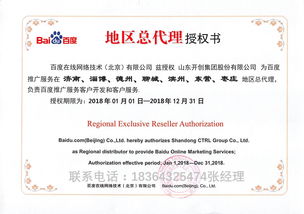 图片资源与数字基建双轮驱动 淄博总代理视角下的网站建设新机遇